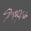 Stray Kids's Banner