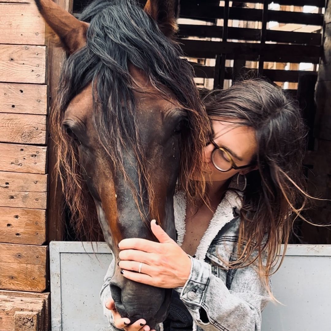 essaouirahorseparadise