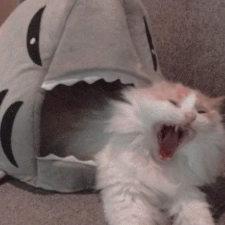 TYSM FOR USING MY SOUND