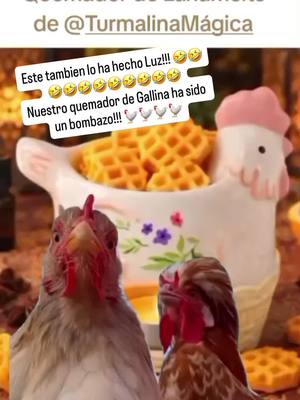 Gracias Luz por el video!!!! El quemador de gallina ha triunfado en turmalina magica y no es para menos... es precioso!!! 🥰🥰🐓🐓🐓🐓🐓🐓🐓🐓🐓#regalo #lanamelts #waxmelt #tiktoklive